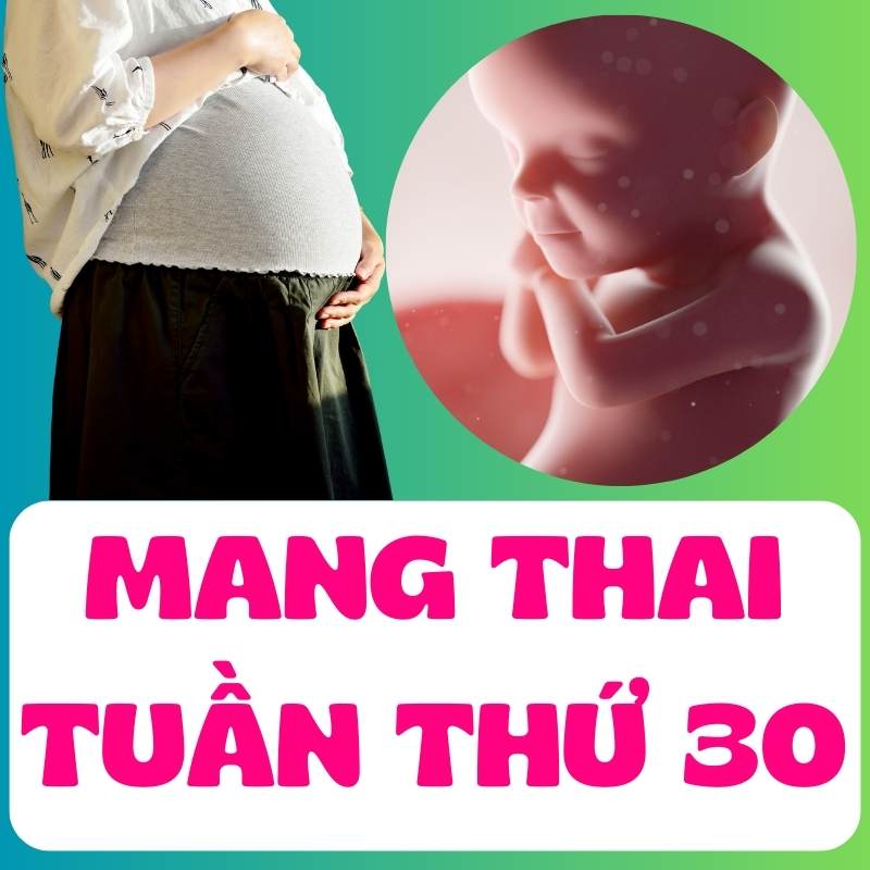 Mang thải tuần thứ 30 của mẹ bầu châu Á